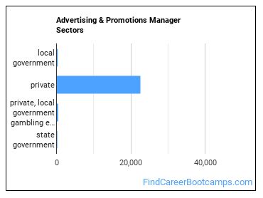 Advertising & Promotions Manager Sectors