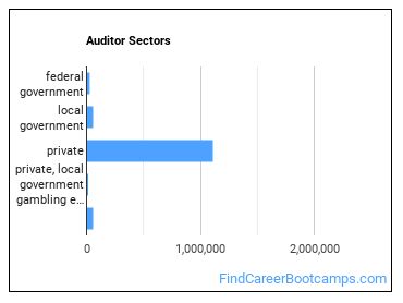 Auditor Sectors