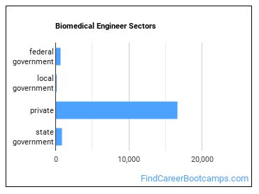 Biomedical Engineer Sectors