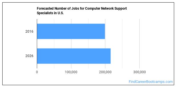 how-to-become-a-computer-network-support-specialist-what-do-they-do