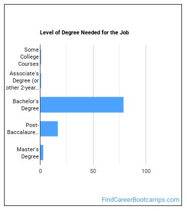Mining or Geological Engineer Degree Level