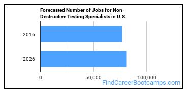 Forecasted Number of Jobs for Non-Destructive Testing Specialists in U.S.
