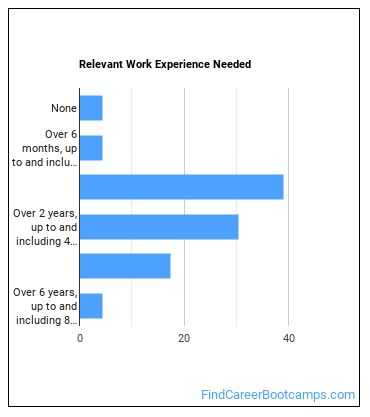 Search Marketing Strategist Work Experience