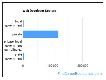 Web Developer Sectors