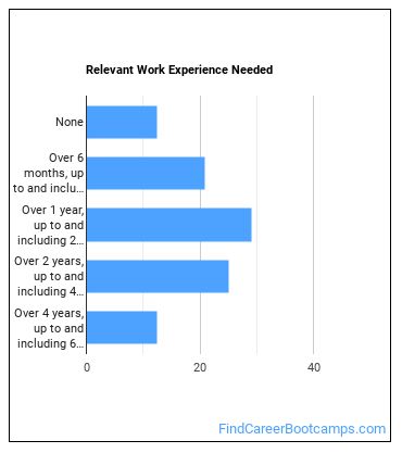 Web Developer Work Experience